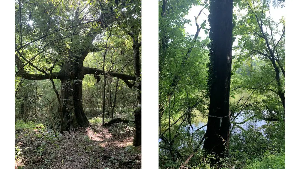 data-src="https://www.mainlineatl.com/wp-content/uploads/2021/08/hardwood-photos.001.jpg"